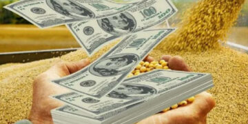 ¿Se acerca el fin de las retenciones? El debate que marcará el futuro del agro