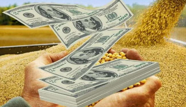 ¿Se acerca el fin de las retenciones? El debate que marcará el futuro del agro