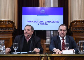 De Ángeli le pide al Gobierno Nacional que anuncie “un plan para ir sacando las retenciones”