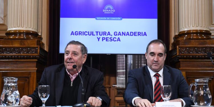De Ángeli le pide al Gobierno Nacional que anuncie “un plan para ir sacando las retenciones”