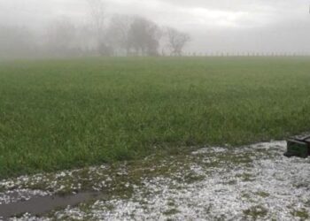 La Niña y los forzantes climáticos: por qué las lluvias están siendo diluvios y qué se espera para el otoño