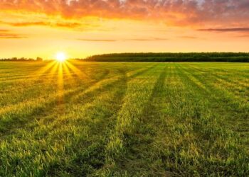 Expertos pronostican un clima más favorable para la campaña agrícola 2025/26