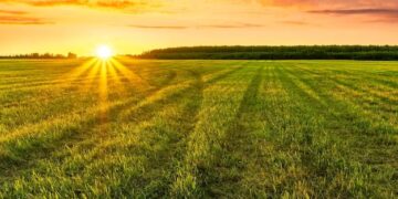 Expertos pronostican un clima más favorable para la campaña agrícola 2025/26