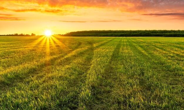 Expertos pronostican un clima más favorable para la campaña agrícola 2025/26