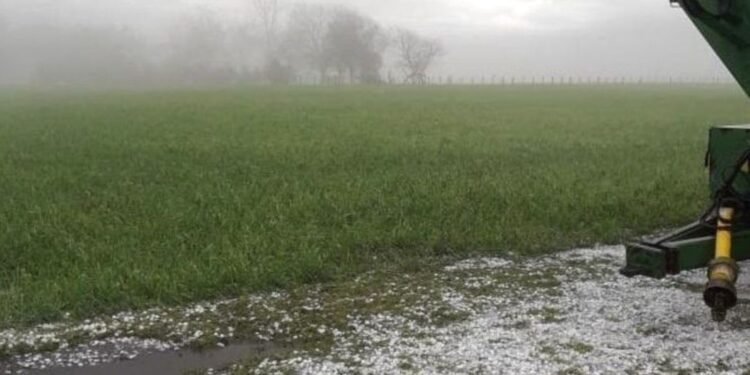 El balance de Apronor tras la lluvia en Tucumán: ¿Cómo afectó a los cultivos?