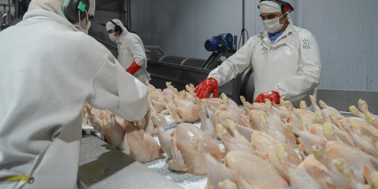 China reabrió su mercado para las exportaciones argentinas