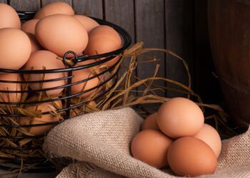 Argentina, segundo consumidor mundial de huevo