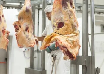 Las exportaciones de carne no se recuperan y hubo una caída interanual del 27,5 %