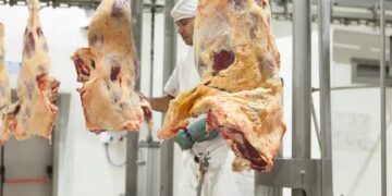 Las exportaciones de carne no se recuperan y hubo una caída interanual del 27,5 %