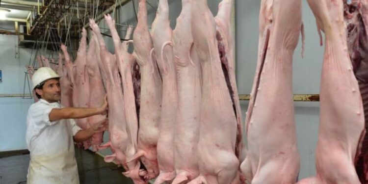 Lanzaron créditos en kilos de capón para potenciar la producción porcina