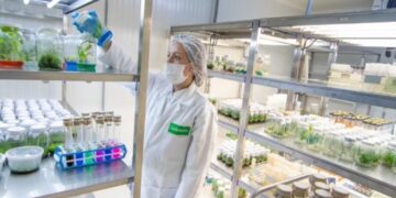 Los semilleros advierten que para que crezca el uso de tecnología “le tienen que devolver la rentabilidad al productor”
