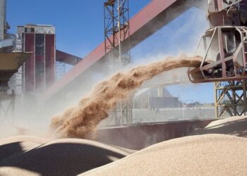 El titular de exportadores de cereales asegura que el 30 de junio no se postergará la baja de las retenciones