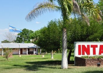 El INTA y una participación clave en el primer Seminario Internacional Hortícola en Orán