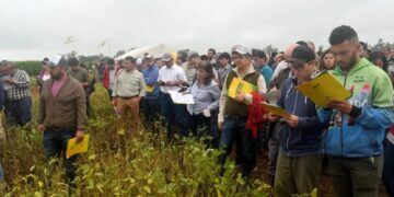 Granos: la Eeaoc realizó su día de campo de soja, maíz, poroto y sorgo