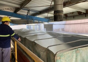 Con altos volúmenes en la urea, la importación de fertilizantes inició el año a buen ritmo
