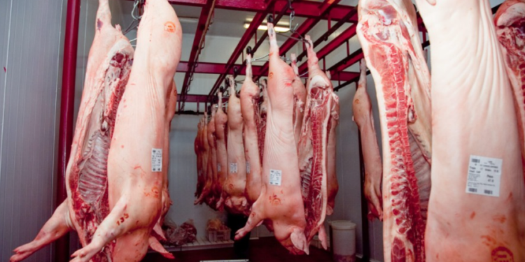 Gran paso de Paraguay con la inauguración de frigorífico porcino para Taiwán