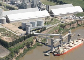 De la mano de la baja de retenciones, el aporte de dólares del agro estuvo cerca del récord en febrero