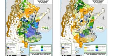 Un alivio que ahora preocupa: las lluvias pasan a generar excesos y podrían complicar la cosecha