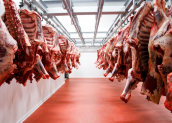 Mercado global de la carne: guerra comercial EE.UU-China puede beneficiar a Uruguay y Argentina