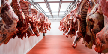 Mercado global de la carne: guerra comercial EE.UU-China puede beneficiar a Uruguay y Argentina