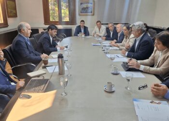 La Mesa de Enlace se reunió con el Gobierno: la inseguridad rural se suma a los temas de agenda