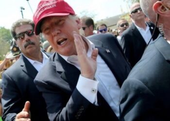 Un alivio con los aranceles de Trump: “La agroindustria no parece estar en el centro de la escena”