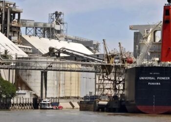 La campaña de soja cierra con récord de exportaciones de aceite