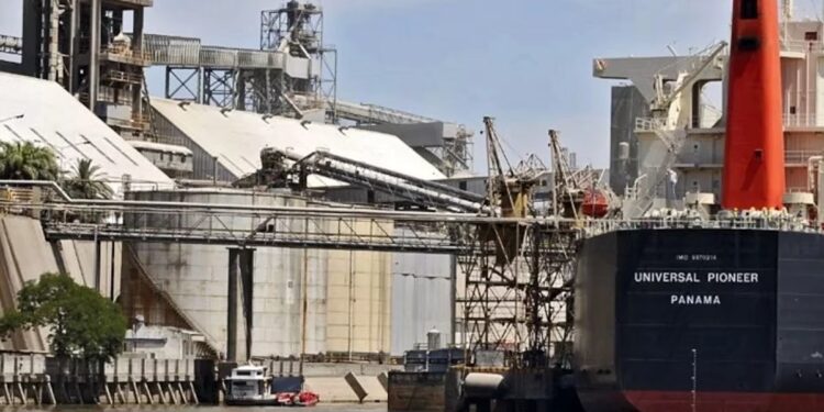 La campaña de soja cierra con récord de exportaciones de aceite
