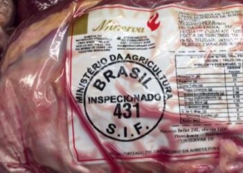 Importación de carne desde Brasil: ¿decisión necesaria o un retroceso para la ganadería argentina?