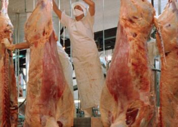 Las exportaciones de carne arrancaron con el pie izquierdo