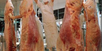 Las exportaciones de carne arrancaron con el pie izquierdo