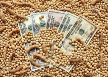 “Un nuevo horizonte para el sector”: desde el campo y la agroindustria celebran el fin del cepo
