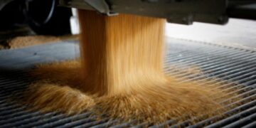 Eliminaron el Registro Único de la Cadena Agroindustrial