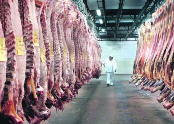 En el primer trimestre del año se retrajo la producción de carne vacuna