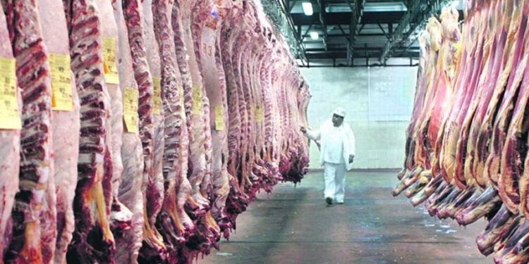 En el primer trimestre del año se retrajo la producción de carne vacuna