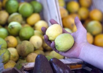Sector limonero: consideran que el año citrícola asoma complicado