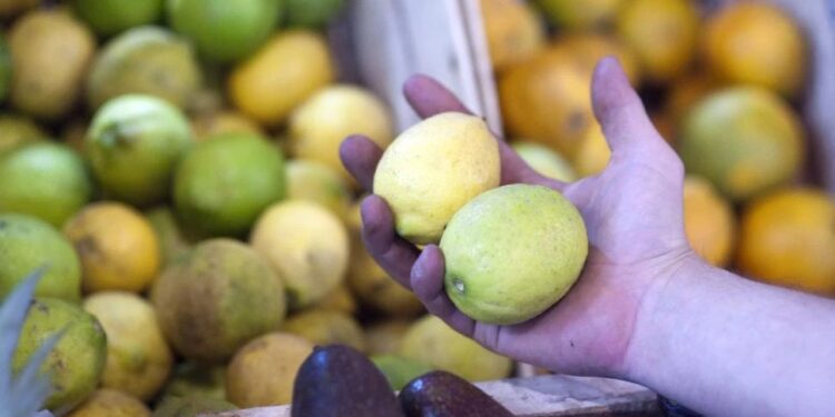 Sector limonero: consideran que el año citrícola asoma complicado