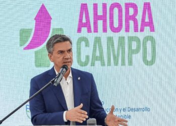 En Chaco, la sequía generó pérdidas por U$S 300 millones y el Gobierno anunció un paquete de ayudas