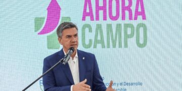 En Chaco, la sequía generó pérdidas por U$S 300 millones y el Gobierno anunció un paquete de ayudas