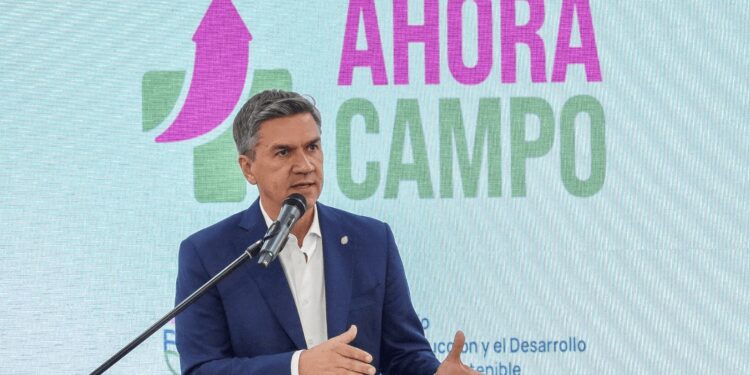 En Chaco, la sequía generó pérdidas por U$S 300 millones y el Gobierno anunció un paquete de ayudas