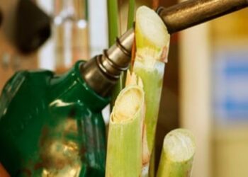 Récord histórico de producción de bioetanol en Argentina durante 2024