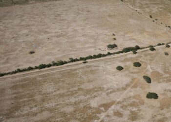 Declaran la emergencia agropecuaria nacional para Chaco y parte de Santa Fe, por sequía
