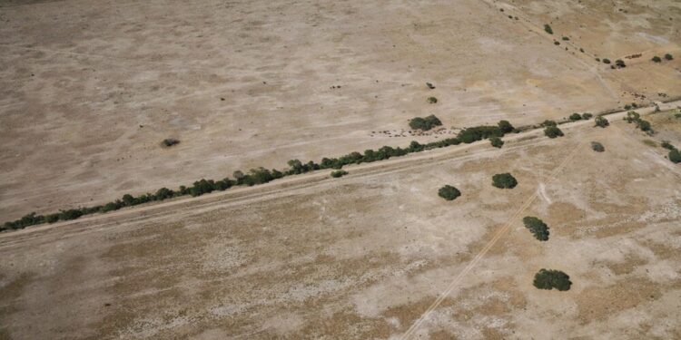 Declaran la emergencia agropecuaria nacional para Chaco y parte de Santa Fe, por sequía