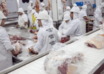 Desde Córdoba, un empresario de la carne afirma que el nuevo dólar “no sirve” y critica: “Estamos desprotegidos”