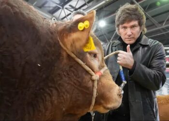 Tras la polémica por las retenciones, Milei busca acercarse de nuevo al campo: “Es el mejor del mundo”