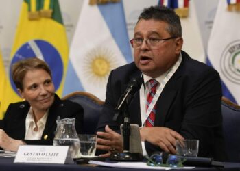 “Hace 25 años que estamos enamorados de la idea de un acuerdo con Europa, que no nos da nada”