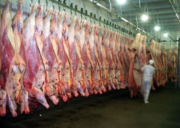 Competencia global por la carne: ¿cómo afecta al mercado argentino la pelea entre Estados Unidos y China?