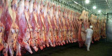 Competencia global por la carne: ¿cómo afecta al mercado argentino la pelea entre Estados Unidos y China?