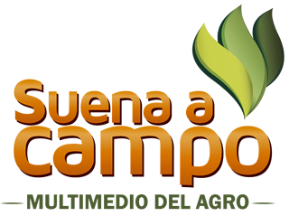 Suena A Campo
