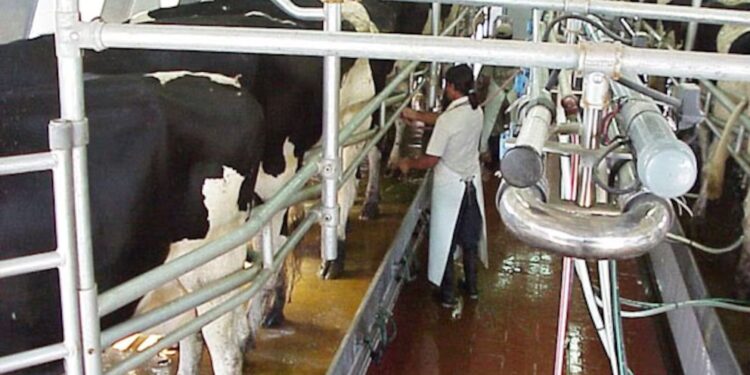 Repunta la lechería argentina: la producción creció 10,9% en el primer trimestre de 2025